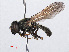  ( - RMNH.INS.550607)  @12 [ ] CreativeCommons - Attribution Non-Commercial Share-Alike (2013) Unspecified Naturalis Biodiversity Center