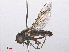  ( - RMNH.INS.553486)  @11 [ ] CreativeCommons - Attribution Non-Commercial Share-Alike (2013) Unspecified Naturalis Biodiversity Center