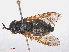  ( - RMNH.INS.553694)  @12 [ ] CreativeCommons - Attribution Non-Commercial Share-Alike (2013) Unspecified Naturalis Biodiversity Center