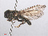  ( - RMNH.INS.553810)  @11 [ ] CreativeCommons - Attribution Non-Commercial Share-Alike (2013) Unspecified Naturalis Biodiversity Center