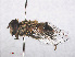  ( - RMNH.INS.553880)  @11 [ ] CreativeCommons - Attribution Non-Commercial Share-Alike (2013) Unspecified Naturalis Biodiversity Center
