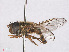  ( - RMNH.INS.553928)  @11 [ ] CreativeCommons - Attribution Non-Commercial Share-Alike (2013) Unspecified Naturalis Biodiversity Center