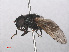  ( - RMNH.INS.553949)  @12 [ ] CreativeCommons - Attribution Non-Commercial Share-Alike (2013) Unspecified Naturalis Biodiversity Center