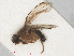  ( - RMNH.INS.554643)  @12 [ ] CreativeCommons - Attribution Non-Commercial Share-Alike (2013) Unspecified Naturalis Biodiversity Center