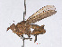  ( - RMNH.INS.559391)  @11 [ ] CreativeCommons - Attribution Non-Commercial Share-Alike (2013) Unspecified Naturalis Biodiversity Center