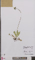  ( - L 0895786)  @11 [ ] CreativeCommons - Attribution Non-Commercial Share-Alike (2012) Naturalis Biodiversity center Naturalis Biodiversity center