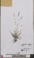  ( - L 0893266)  @11 [ ] CreativeCommons - Attribution Non-Commercial Share-Alike (2012) Naturalis Biodiversity center Naturalis Biodiversity center