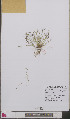  ( - L 0893352)  @11 [ ] CreativeCommons - Attribution Non-Commercial Share-Alike (2012) Naturalis Biodiversity center Naturalis Biodiversity center