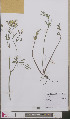  ( - L 0893193)  @11 [ ] CreativeCommons - Attribution Non-Commercial Share-Alike (2012) Naturalis Biodiversity center Naturalis Biodiversity center