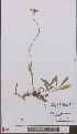  ( - L 0897086)  @11 [ ] CreativeCommons - Attribution Non-Commercial Share-Alike (2012) Naturalis Biodiversity center Naturalis Biodiversity center