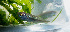  ( - RMNH.5013241)  @11 [ ] CreativeCommons - Attribution Non-Commercial Share-Alike (2013) Naturalis Biodiversity Center Naturalis Biodiversity Center