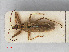  ( - RMNH.INS.541998)  @13 [ ] CreativeCommons - Attribution Non-Commercial Share-Alike (2013) Unspecified Naturalis Biodiversity Center