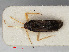 ( - RMNH.INS.542007)  @12 [ ] CreativeCommons - Attribution Non-Commercial Share-Alike (2013) Unspecified Naturalis Biodiversity Center