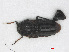  ( - RMNH.INS.544924)  @11 [ ] CreativeCommons - Attribution Non-Commercial Share-Alike (2013) Unspecified Naturalis Biodiversity Center