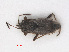  ( - RMNH.INS.544981)  @11 [ ] CreativeCommons - Attribution Non-Commercial Share-Alike (2013) Unspecified Naturalis Biodiversity Center