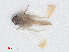  ( - RMNH.INS.548048)  @12 [ ] CreativeCommons - Attribution Non-Commercial Share-Alike (2013) Unspecified Naturalis Biodiversity Center