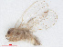  ( - RMNH.INS.548160)  @11 [ ] CreativeCommons - Attribution Non-Commercial Share-Alike (2013) Unspecified Naturalis Biodiversity Center