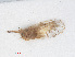  ( - RMNH.INS.548163)  @11 [ ] CreativeCommons - Attribution Non-Commercial Share-Alike (2013) Unspecified Naturalis Biodiversity Center