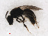  ( - RMNH.INS.543465)  @12 [ ] CreativeCommons - Attribution Non-Commercial Share-Alike (2013) Unspecified Naturalis Biodiversity Center