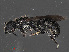  ( - RMNH.INS.543470)  @12 [ ] CreativeCommons - Attribution Non-Commercial Share-Alike (2013) Unspecified Naturalis Biodiversity Center