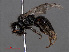  ( - RMNH.INS.546978)  @12 [ ] CreativeCommons - Attribution Non-Commercial Share-Alike (2013) Unspecified Naturalis Biodiversity Center