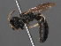  ( - RMNH.INS.547014)  @12 [ ] CreativeCommons - Attribution Non-Commercial Share-Alike (2013) Unspecified Naturalis Biodiversity Center