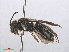  ( - RMNH.INS.547485)  @13 [ ] CreativeCommons - Attribution Non-Commercial Share-Alike (2013) Unspecified Naturalis Biodiversity Center
