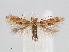  ( - RMNH.INS.544330)  @14 [ ] Unspecified (default): All Rights Reserved  Unspecified Unspecified