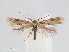  ( - RMNH.INS.544332)  @14 [ ] Unspecified (default): All Rights Reserved  Unspecified Unspecified