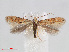  ( - RMNH.INS.544334)  @14 [ ] Unspecified (default): All Rights Reserved  Unspecified Unspecified