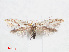  ( - RMNH.INS.538496)  @12 [ ] CreativeCommons - Attribution Non-Commercial Share-Alike (2012) Unspecified Naturalis, Biodiversity Centre