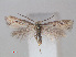  ( - RMNH.INS.538521)  @14 [ ] Unspecified (default): All Rights Reserved  Unspecified Unspecified