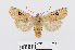  ( - RMNH.INS.538684)  @14 [ ] Unspecified (default): All Rights Reserved  Unspecified Unspecified