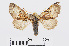  ( - RMNH.INS.538692)  @14 [ ] Unspecified (default): All Rights Reserved  Unspecified Unspecified