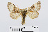  ( - RMNH.INS.538707)  @14 [ ] Unspecified (default): All Rights Reserved  Unspecified Unspecified