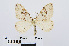 ( - RMNH.INS.538755)  @13 [ ] Unspecified (default): All Rights Reserved  Unspecified Unspecified