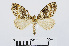  ( - RMNH.INS.538772)  @14 [ ] Unspecified (default): All Rights Reserved  Unspecified Unspecified