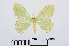  ( - RMNH.INS.538819)  @13 [ ] Unspecified (default): All Rights Reserved  Unspecified Unspecified