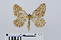  ( - RMNH.INS.538824)  @12 [ ] Unspecified (default): All Rights Reserved  Unspecified Unspecified