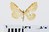  ( - RMNH.INS.538828)  @13 [ ] CreativeCommons - Attribution Non-Commercial Share-Alike (2014) Unspecified Naturalis, Biodiversity Centre