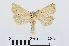  ( - RMNH.INS.538886)  @13 [ ] Unspecified (default): All Rights Reserved  Unspecified Unspecified