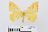  ( - RMNH.INS.538891)  @13 [ ] Unspecified (default): All Rights Reserved  Unspecified Unspecified
