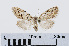  ( - RMNH.INS.538933)  @13 [ ] Unspecified (default): All Rights Reserved  Unspecified Unspecified