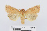  ( - RMNH.INS.538962)  @15 [ ] Unspecified (default): All Rights Reserved  Unspecified Unspecified