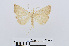  ( - RMNH.INS.538972)  @14 [ ] Unspecified (default): All Rights Reserved  Unspecified Unspecified