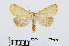  ( - RMNH.INS.538981)  @14 [ ] Unspecified (default): All Rights Reserved  Unspecified Unspecified