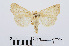  ( - RMNH.INS.538991)  @13 [ ] Unspecified (default): All Rights Reserved  Unspecified Unspecified