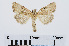  ( - RMNH.INS.539014)  @14 [ ] Unspecified (default): All Rights Reserved  Unspecified Unspecified