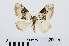  ( - RMNH.INS.539019)  @13 [ ] Unspecified (default): All Rights Reserved  Unspecified Unspecified