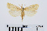  ( - RMNH.INS.539051)  @13 [ ] Unspecified (default): All Rights Reserved  Unspecified Unspecified